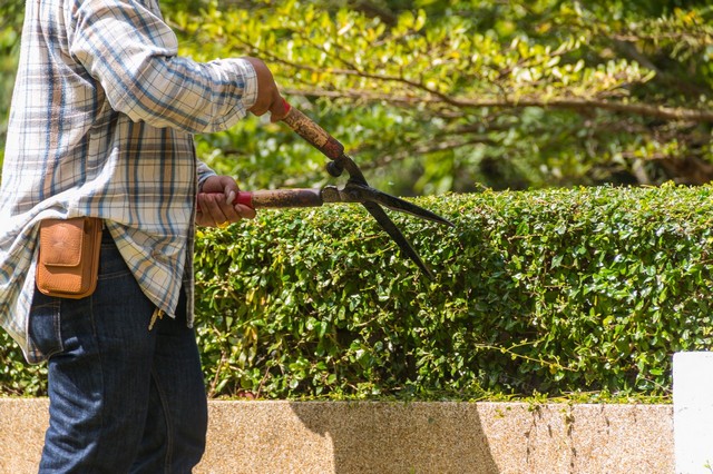 Garden Maintenance Shoreditch, E2